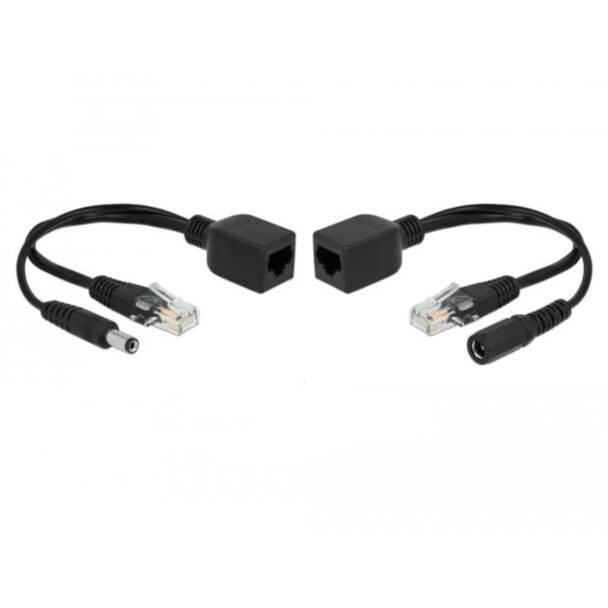 DeLOCK 66023 adattatore PoE e iniettore Fast Ethernet