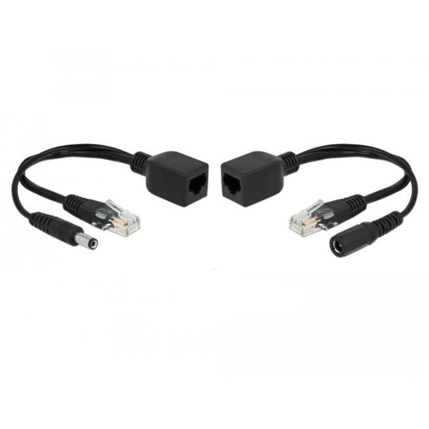 DeLOCK 66023 adattatore PoE e iniettore Fast Ethernet