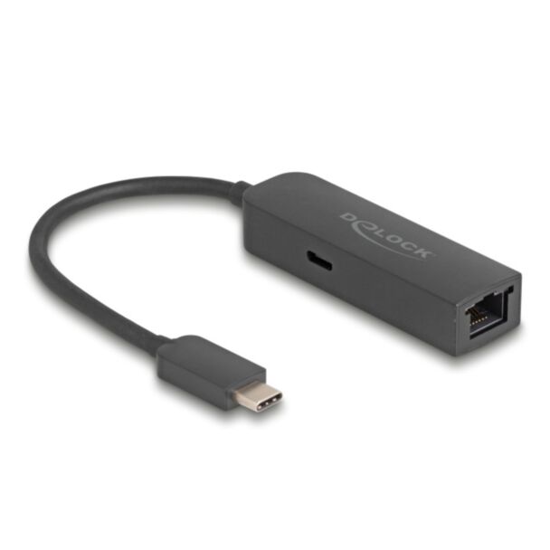 DeLOCK Adattatore USB Type-C per 2,5 Gigabit LAN con porta di alimentazione 100 watt