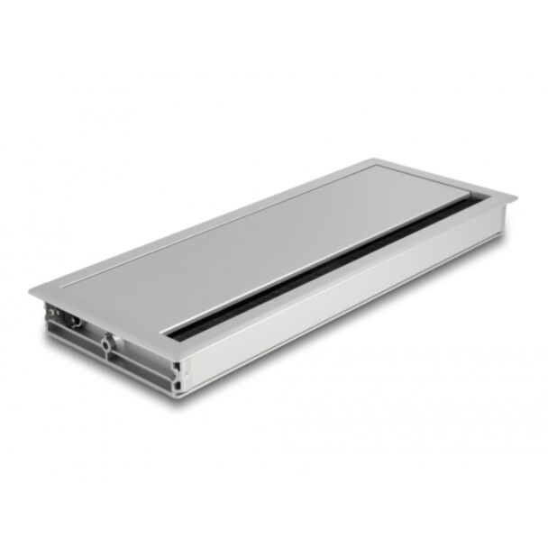 DeLOCK Passacavo per montaggio su tavolo con spazzola 300 x 120 x 28 mm argento
