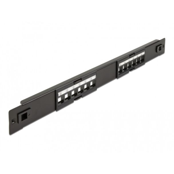 DeLOCK 19″ Keystone Patch Panel 12 Port tool free