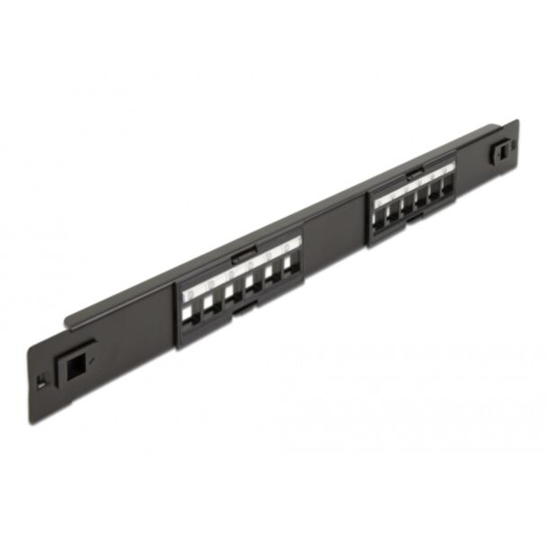 DeLOCK 19″ Keystone Patch Panel 12 Port tool free