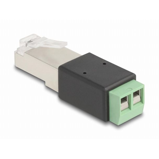 DeLOCK Adattatore da RJ45 maschio per morsettiera 2 pin
