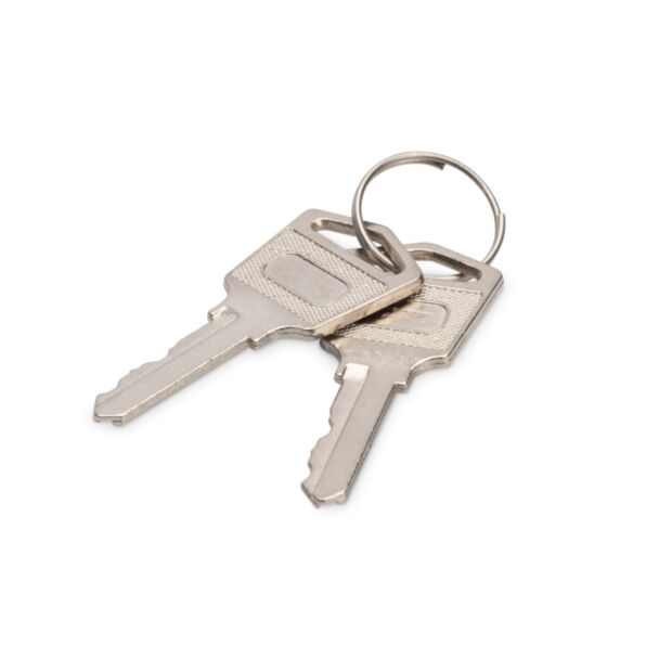 Digitus Keys for loading lockers (trolleys)