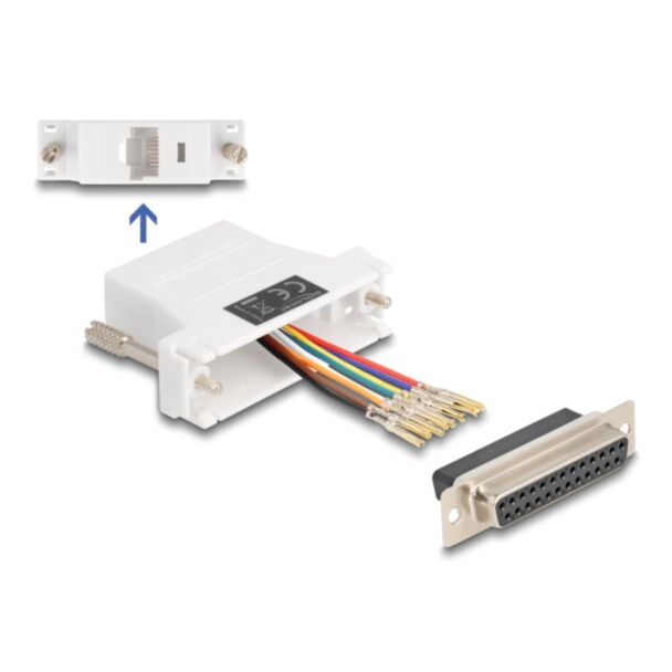 DeLOCK 67117 scheda di interfaccia e adattatore RJ-45