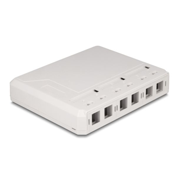 DeLOCK Keystone Surface Mounted Box 6 Port for fiber optic and network white