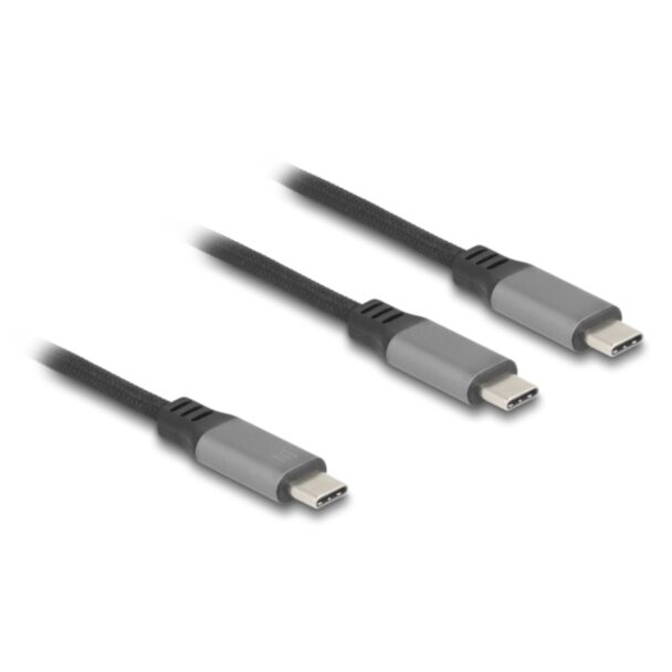 DeLOCK 81271 cavo USB 1,2 m USB C 2 x USB C Nero, Grigio