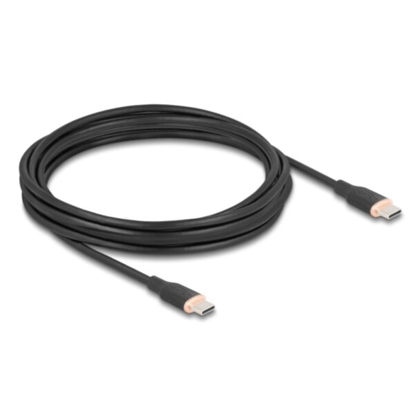 DeLOCK 81240 cavo USB USB 2.0 4 m USB C Nero