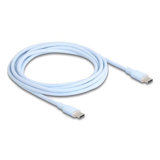 DeLOCK 81235 cavo USB USB 2.0 2,5 m USB C Blu