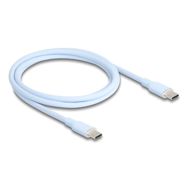 DeLOCK 81234 cavo USB USB 2.0 1 m USB C Blu