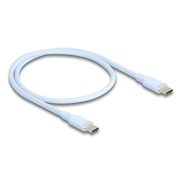 DeLOCK 81233 cavo USB USB 2.0 0,5 m USB C Blu
