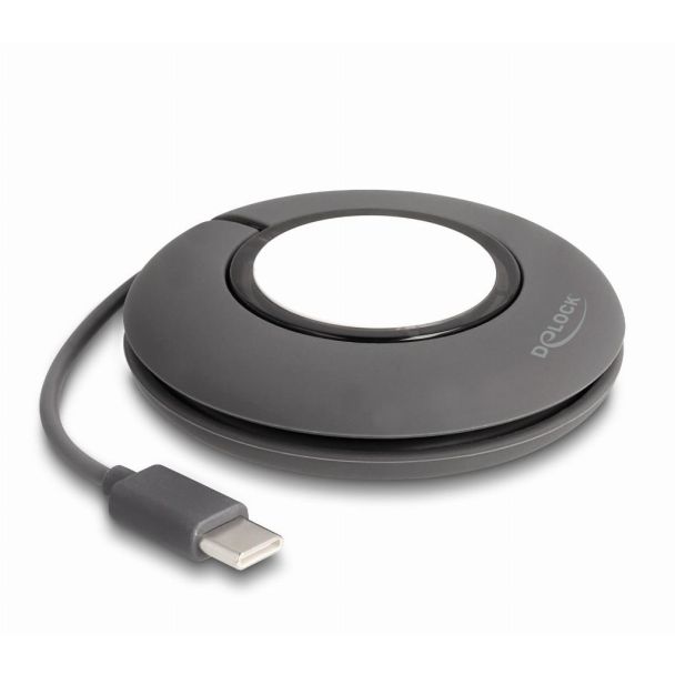 DeLOCK 83019 Smart Wearable Accessories Charging stand Grey, White Silicone