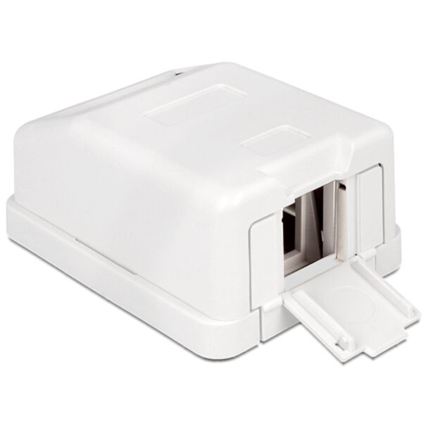 DeLOCK 86235 scatola elettrica Bianco