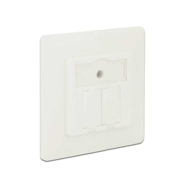 DeLOCK 86219 presa energia RJ-45 Bianco