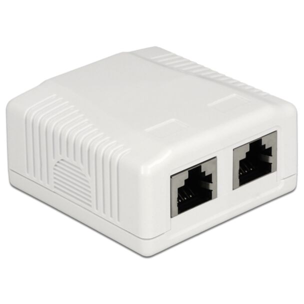 DeLOCK 86197 presa energia 2 x RJ-45 Bianco