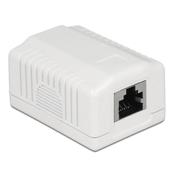DeLOCK 86196 presa energia RJ-45 Bianco