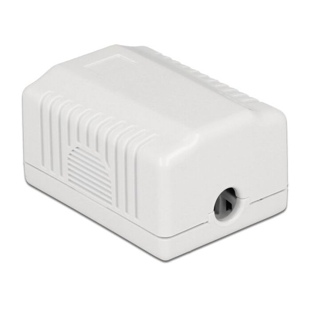 DeLOCK 86196 presa energia RJ-45 Bianco