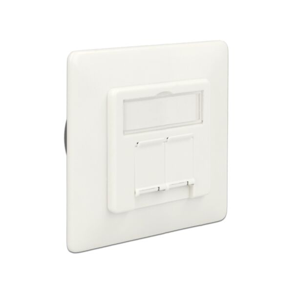 DeLOCK 86195 presa energia RJ-45 Bianco