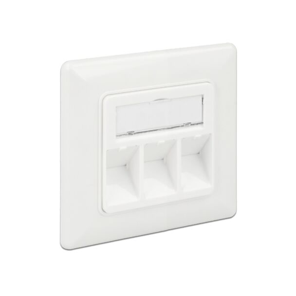 DeLOCK 86194 presa energia RJ-45 Argento, Bianco