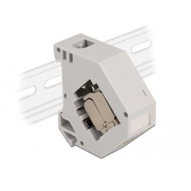 DeLOCK Adattatore per guida DIN con modulo Keystone RJ45 femmina Cat.6A LSA