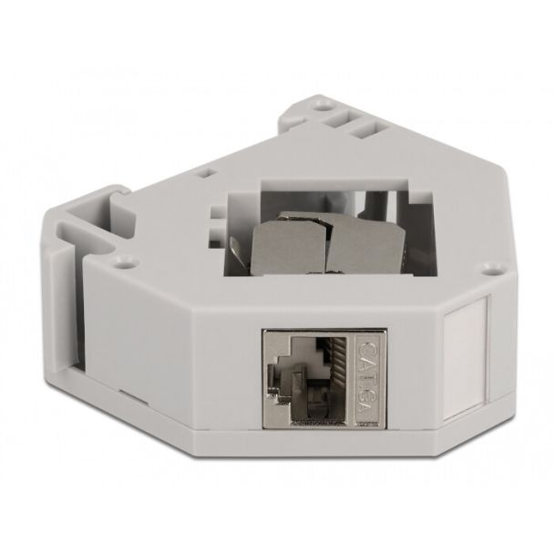 DeLOCK Adattatore per guida DIN con modulo Keystone RJ45 femmina Cat.6A LSA