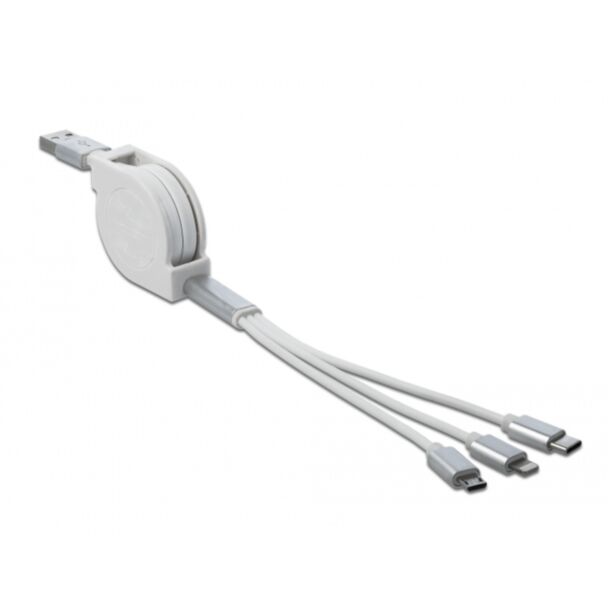DeLOCK 85850 cavo USB USB 2.0 0,98 m USB A USB C/Micro-USB B/Lightning Argento, Bianco