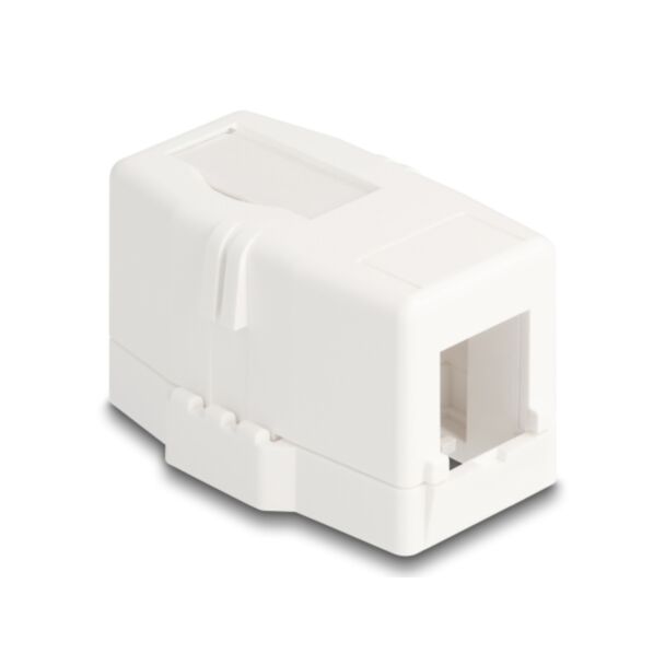 DeLOCK 85841 accessorio per moduli Keystone Telaio a scatto