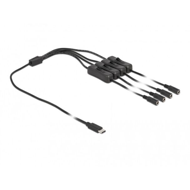 DeLOCK Cavo USB Type-C maschio per 4 x DC 5,5 x 2,1 mm femmina con interruttore 1 m