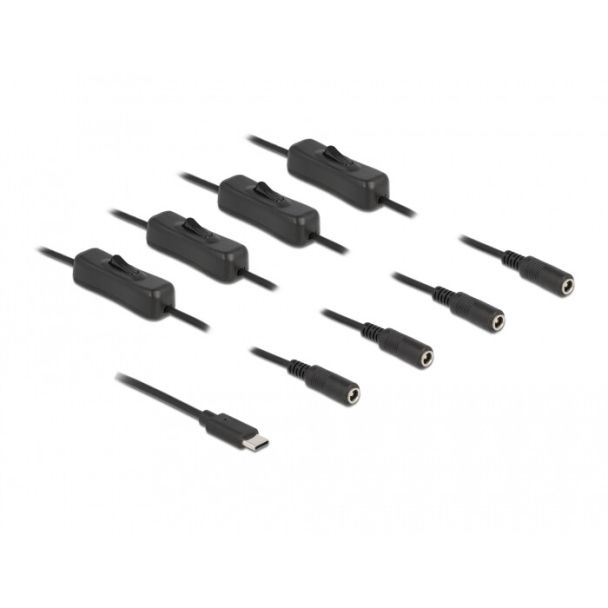 DeLOCK Cable USB Type-C male to 4 x DC 5.5 x 2.1 mm female with switch 1 m