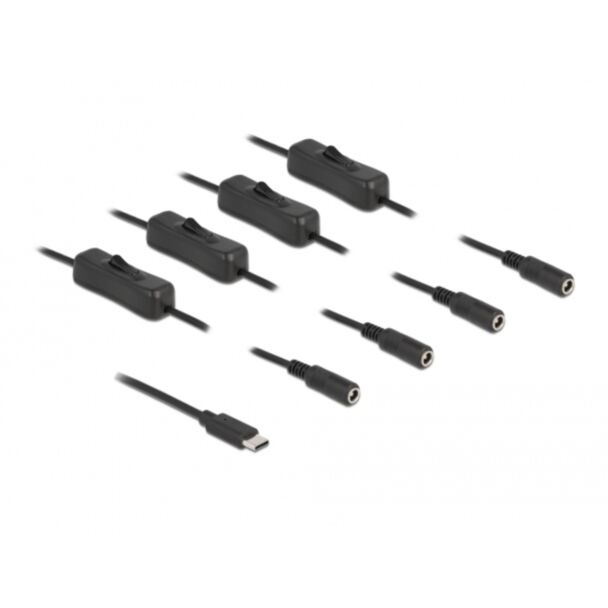 DeLOCK Cable USB Type-C male to 4 x DC 5.5 x 2.1 mm female with switch 1 m