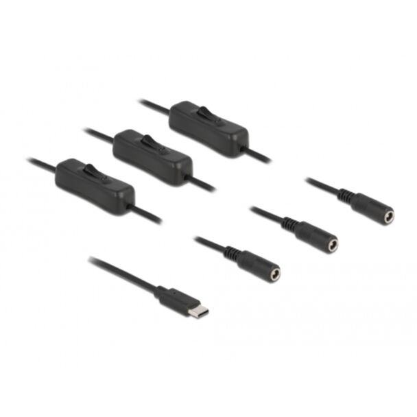DeLOCK Cable USB Type-C male to 3 x DC 5.5 x 2.1 mm female with switch 1 m