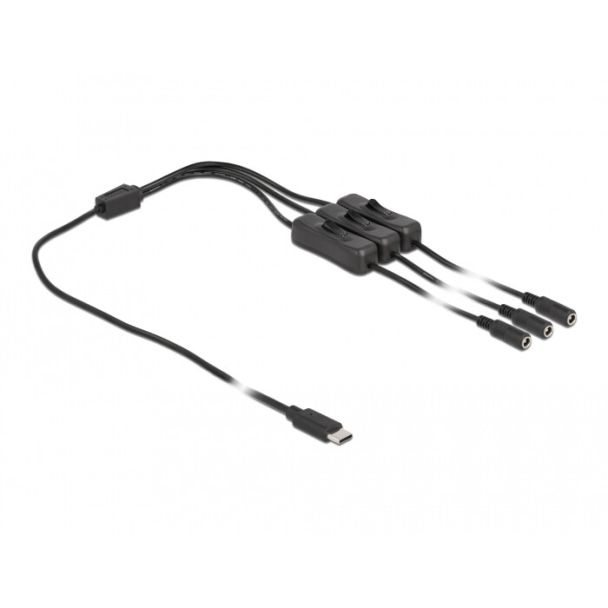 DeLOCK Cavo USB Type-C maschio per 3 x DC 5,5 x 2,1 mm femmina con interruttore 1 m