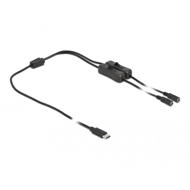 DeLOCK Cavo USB Type-C maschio per 2 x DC 5,5 x 2,1 mm femmina con interruttore 1 m
