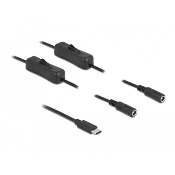 DeLOCK Cable USB Type-C male to 2 x DC 5.5 x 2.1 mm female with switch 1 m