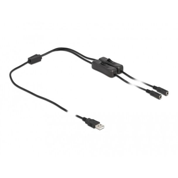 DeLOCK Cavo USB Tipo-A maschio per 2 x DC 5,5 x 2,1 mm femmina con interruttore 1 m