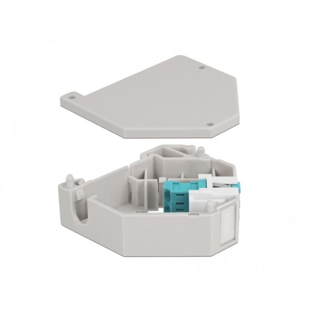 DeLOCK Adattatore guida DIN con Keystone LC Duplex femmina per LC Duplex femmina azzurro