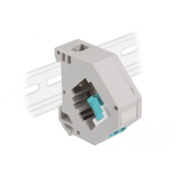 DeLOCK Adattatore guida DIN con Keystone LC Duplex femmina per LC Duplex femmina azzurro