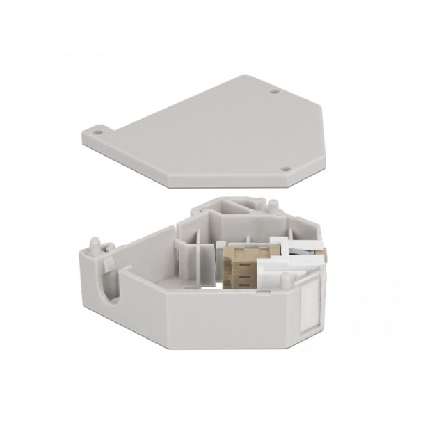 DeLOCK Adattatore guida DIN con Keystone LC Duplex femmina per LC Duplex femmina beige