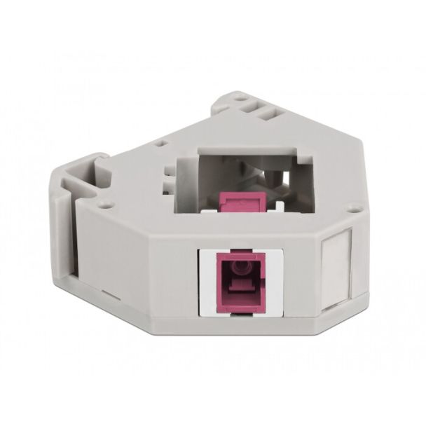 DeLOCK Adattatore guida DIN con Keystone SC Simplex femmina per SC Simplex femmina