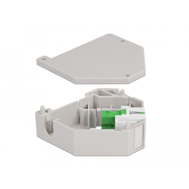 DeLOCK Adattatore guida DIN con Keystone SC Simplex femmina per SC Simplex femmina