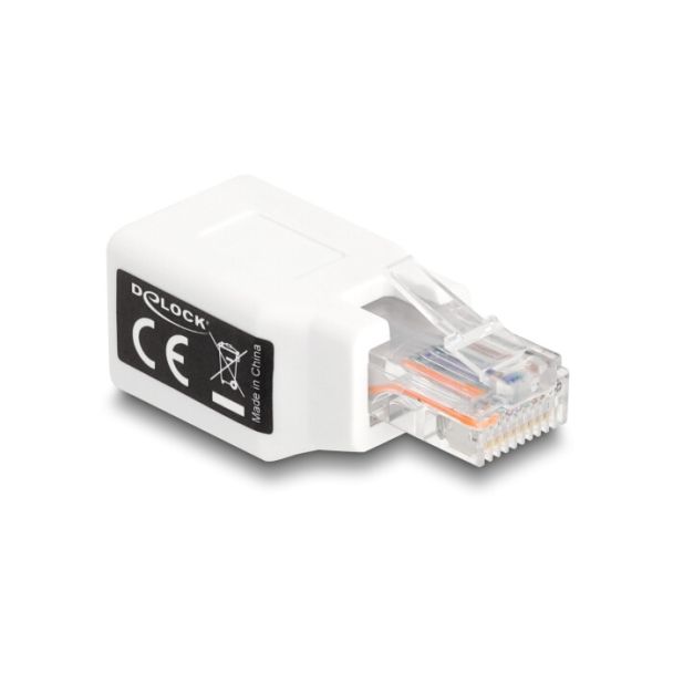 DeLOCK Adattatore RJ50 da maschio a femmina bianco