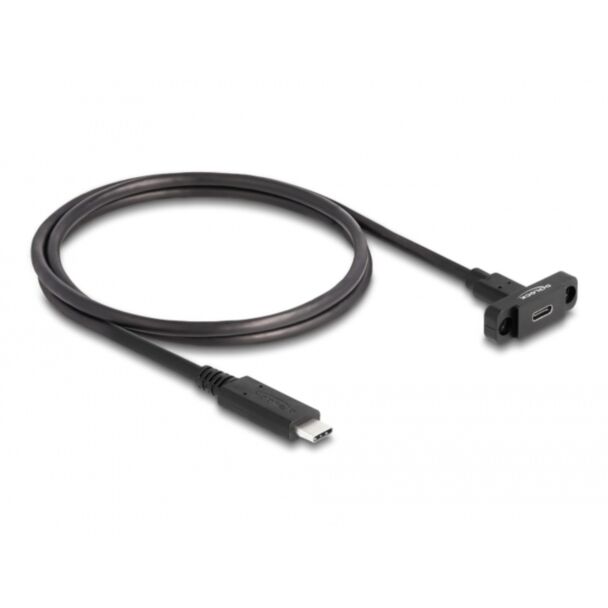 DeLOCK SuperSpeed USB 10 Gbps (USB 3.2 Gen 2) Cavo USB Type-C maschio per femmina da 1 m montaggio a pannello nero