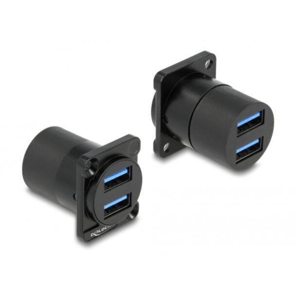 DeLOCK Modulo di Tipo-D USB 5 Gbps Tipo-A 2 x femmina per 2 x femmina