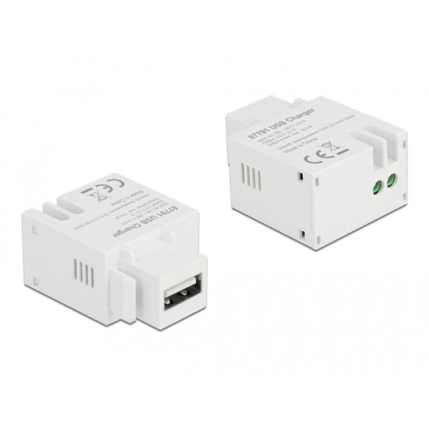 DeLOCK Modulo Keystone USB di Tipo-A Porta di ricarica USB di Tipo-A 2,1 A bianco