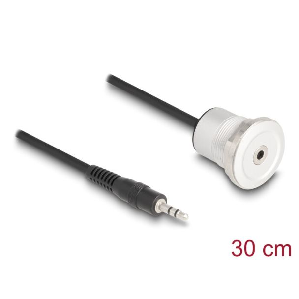 DeLOCK 88188 cavo audio 0,3 m 3.5mm Nero, Argento