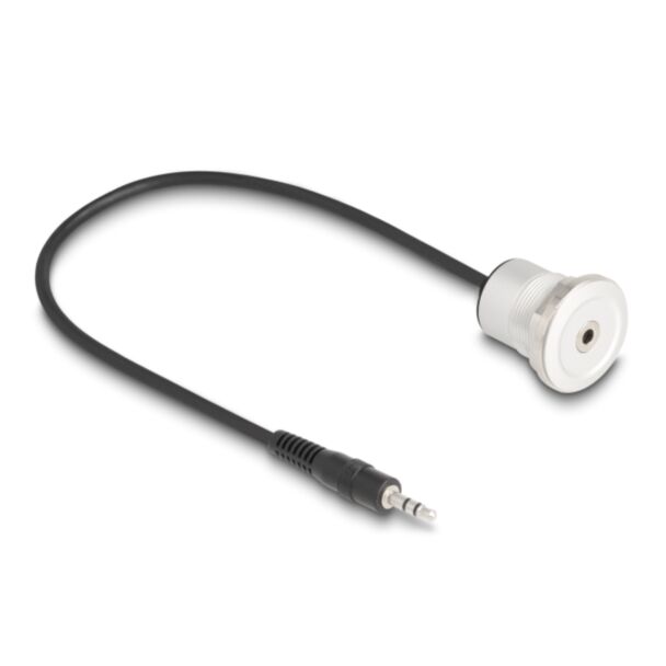DeLOCK 88188 cavo audio 0,3 m 3.5mm Nero, Argento