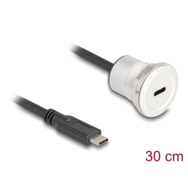 DeLOCK 88183 cavo USB 0,3 m USB C Nero, Argento