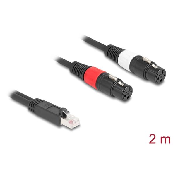 DeLOCK 88176 cavo audio 2 m RJ-45 2 x XLR (3-pin) Nero