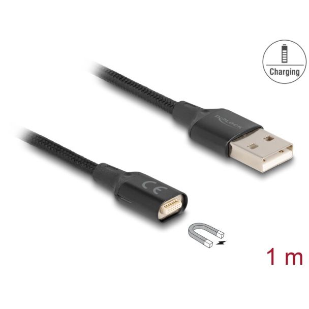 DeLOCK 88167 adattatore per inversione del genere dei cavi USB 2.0 Type-A magnet interface Nero