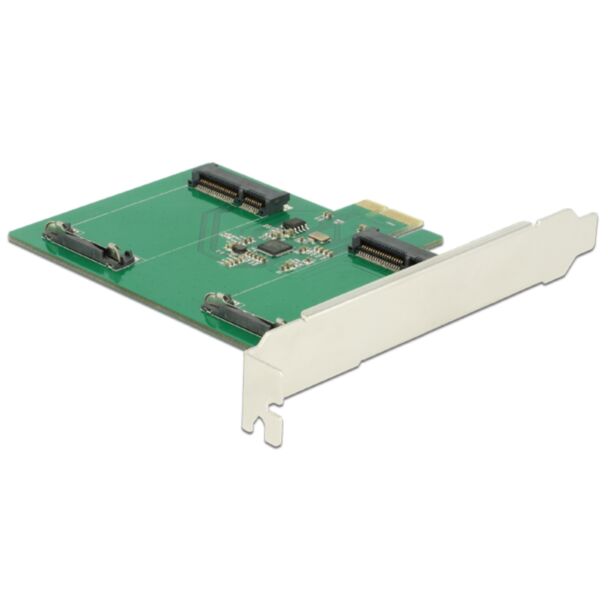 DeLOCK 89479 scheda di interfaccia e adattatore Interno mSATA